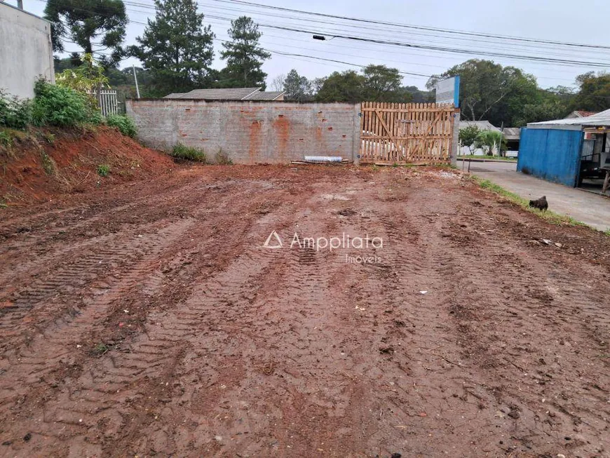 Foto 1 de Lote/Terreno à venda, 575m² em Vila São Cosme, Campina Grande do Sul