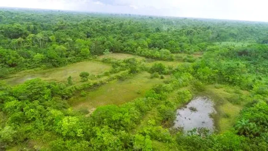 Foto 1 de Fazenda/Sítio à venda, 2130000m² em Penhalonga, Vigia