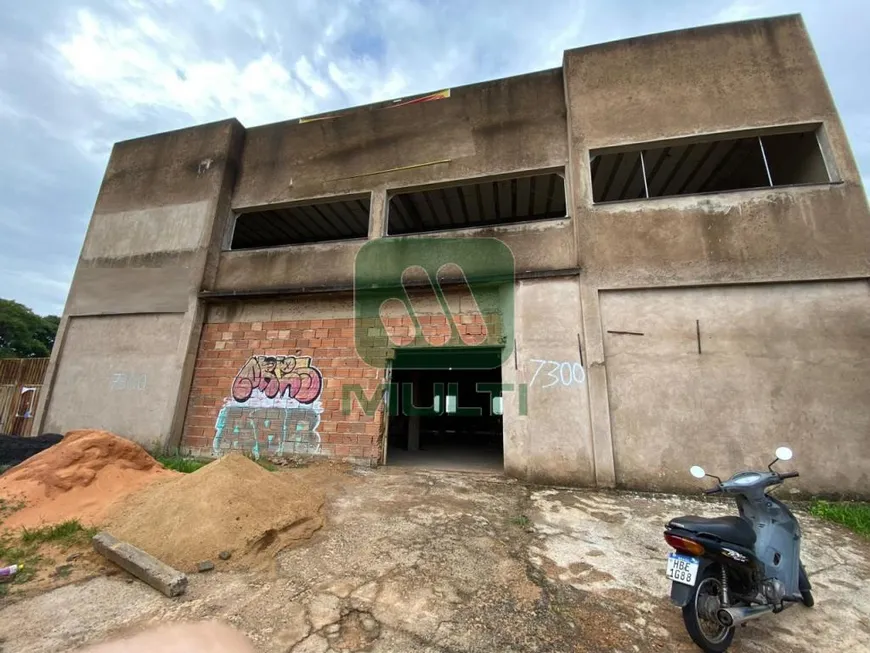 Foto 1 de Casa de Condomínio com 1 Quarto para alugar, 342m² em Santa Mônica, Uberlândia