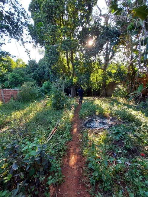 Foto 1 de Fazenda/Sítio com 2 Quartos à venda, 9070000m² em Jardim Progresso, Anápolis