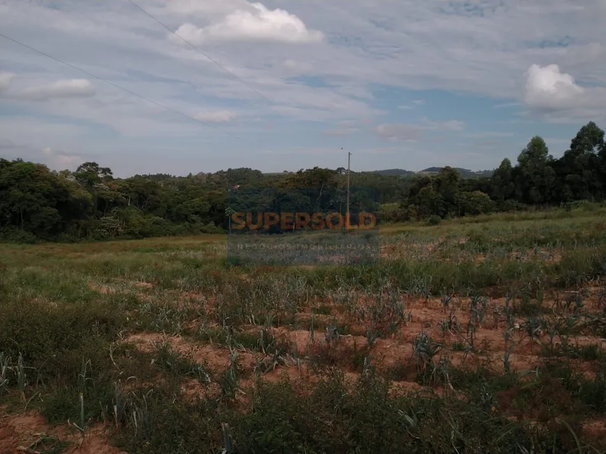 Foto 1 de Fazenda/Sítio com 5 Quartos à venda, 224500m² em Zona Rural, Piedade
