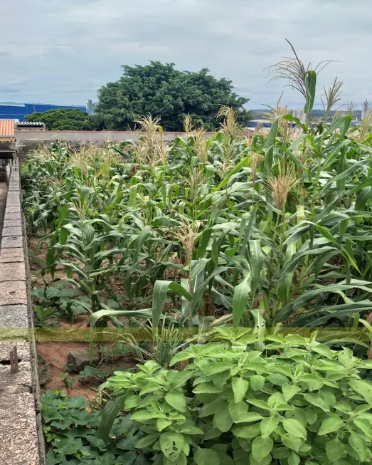 Foto 1 de Lote/Terreno à venda, 360m² em Jardim Guanabara, Jundiaí