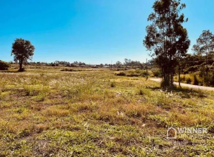 Foto 1 de Lote/Terreno à venda, 2510m² em Zona Rural, Mandaguaçu