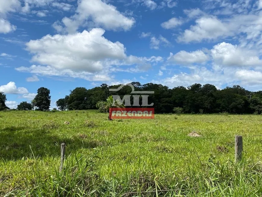 Foto 1 de Fazenda/Sítio à venda em Zona Rural, Mundo Novo