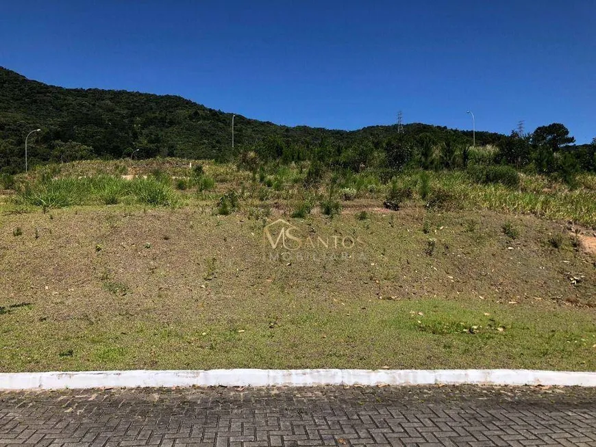 Foto 1 de Lote/Terreno à venda, 458m² em Itacorubi, Florianópolis