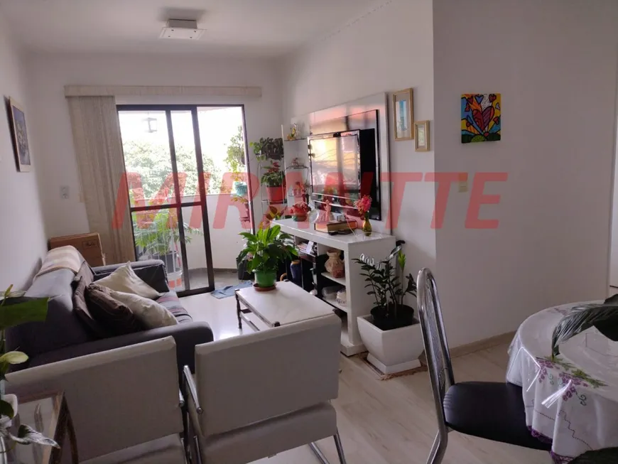 Foto 1 de Apartamento com 3 Quartos à venda, 67m² em Vila Amália, São Paulo