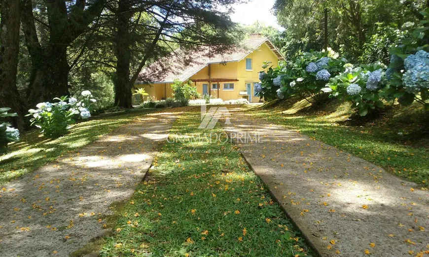 Foto 1 de Fazenda/Sítio à venda, 15000m² em , São Francisco de Paula