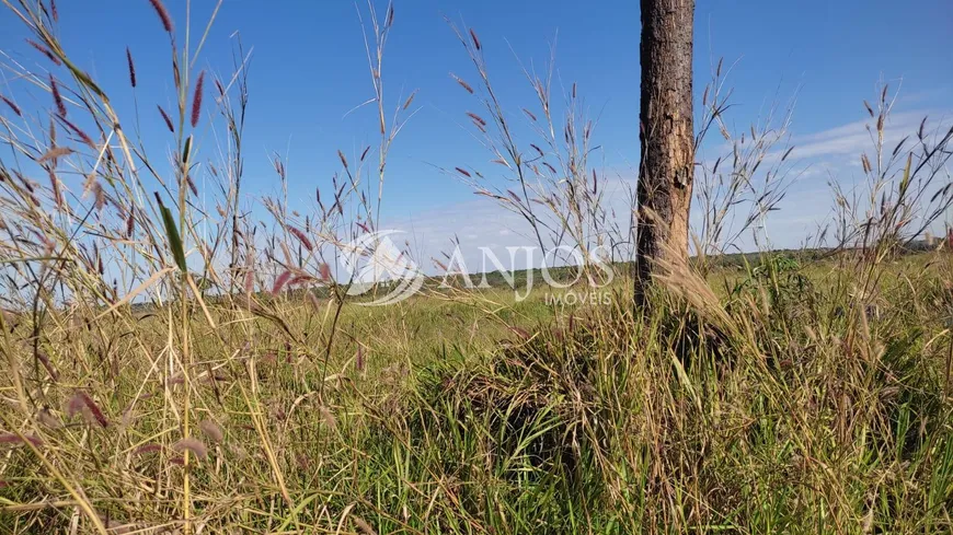 Foto 1 de Fazenda/Sítio com 1 Quarto à venda, 668m² em Area Rural de Sinop , Sinop