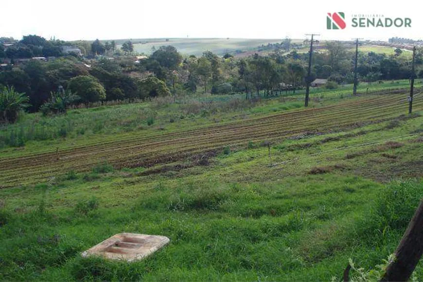 Foto 1 de Fazenda/Sítio com 1 Quarto à venda, 20000m² em Cilo 3, Londrina