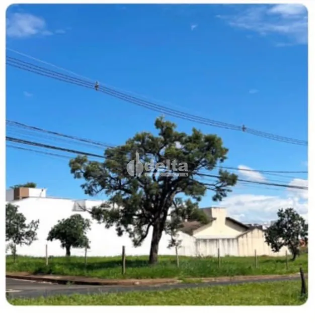 Foto 1 de Lote/Terreno à venda, 503m² em Bosque dos Buritis, Uberlândia