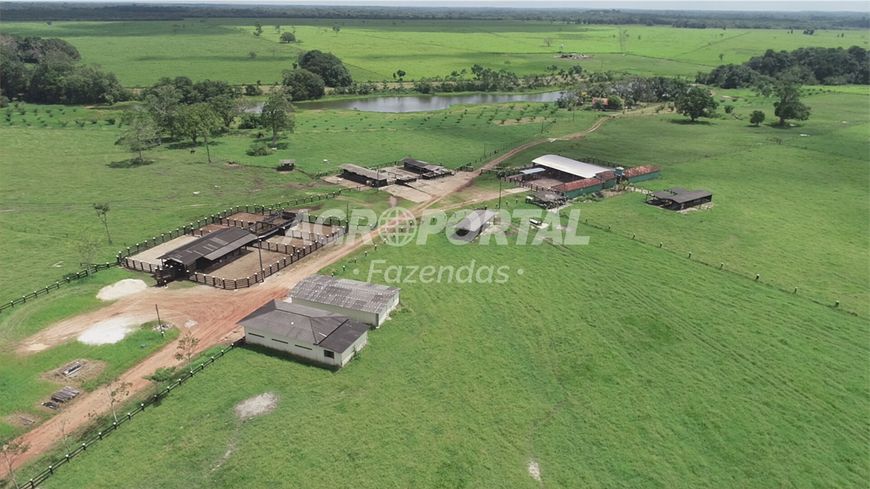Foto 1 de Fazenda/Sítio com 7 Quartos à venda, 11230000m² em Centro, Castanhal