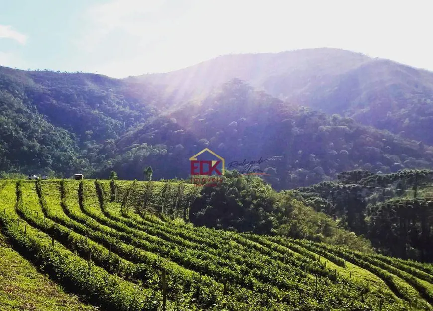 Foto 1 de Fazenda/Sítio com 2 Quartos à venda, 540000m² em , Carvalhos