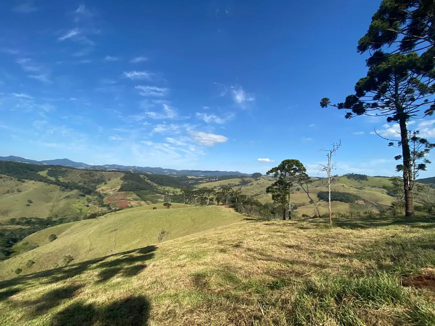 Foto 1 de Lote/Terreno à venda, 20000m² em Zona Rural, Santo Antônio do Pinhal