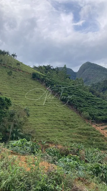 Foto 1 de Lote/Terreno à venda, 48758m² em , Santa Teresa