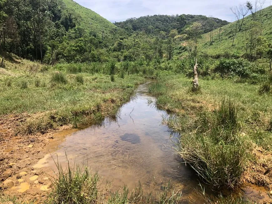 Foto 1 de Fazenda/Sítio à venda, 4840000m² em Vila da Grama, Trajano de Moraes