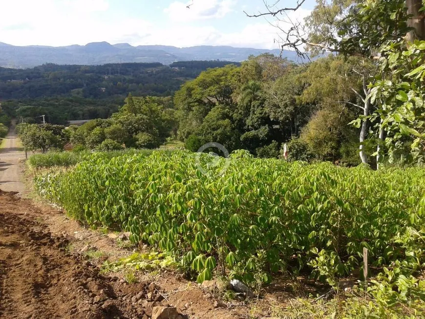 Foto 1 de Lote/Terreno à venda, 1976m² em Floresta, Dois Irmãos