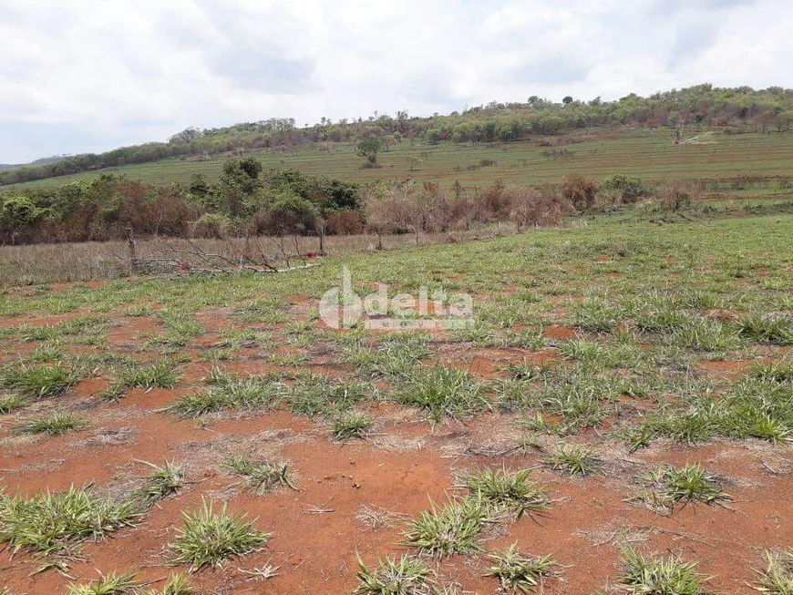 Foto 1 de Fazenda/Sítio com 1 Quarto à venda, 4415m² em Area Rural de Uberlandia, Uberlândia