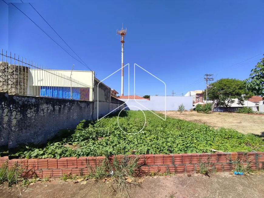 Foto 1 de Lote/Terreno à venda, 330m² em Alto Cafezal, Marília