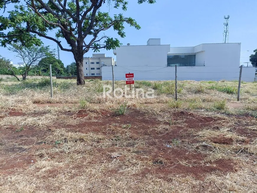 Foto 1 de Lote/Terreno à venda, 300m² em Chácaras Tubalina E Quartel, Uberlândia