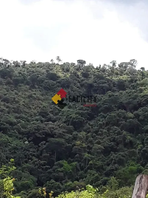 Foto 1 de Fazenda/Sítio com 3 Quartos à venda, 5000m² em Sapucai, Jacutinga