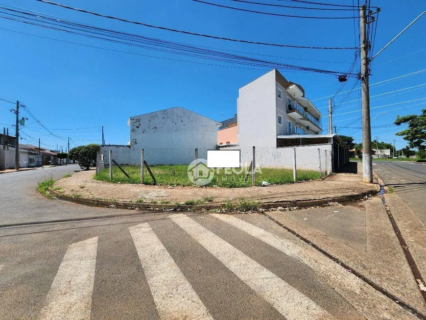 Foto 1 de Lote/Terreno à venda, 329m² em Jardim Pau Brasil, Americana