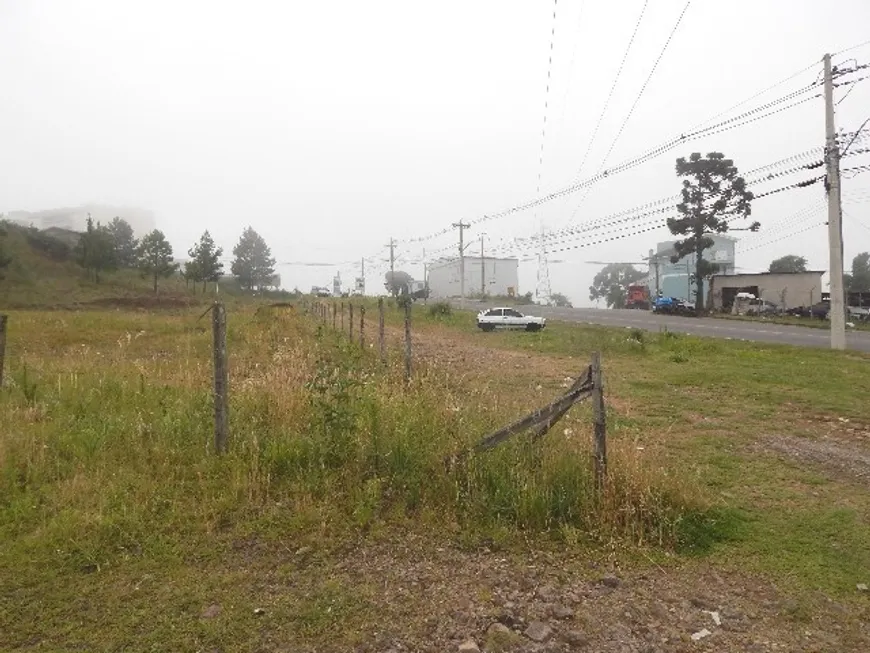 Foto 1 de Lote/Terreno para alugar, 440m² em Charqueadas, Caxias do Sul