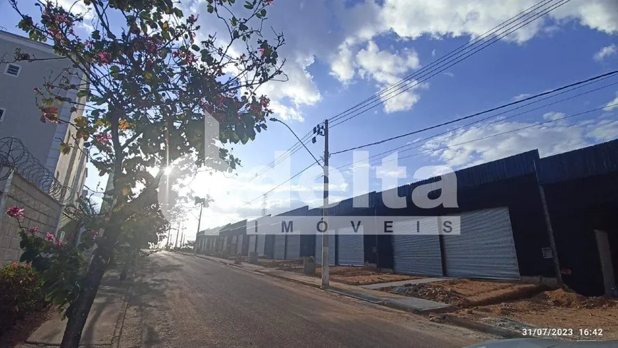 Foto 1 de Galpão/Depósito/Armazém à venda, 216m² em Shopping Park, Uberlândia