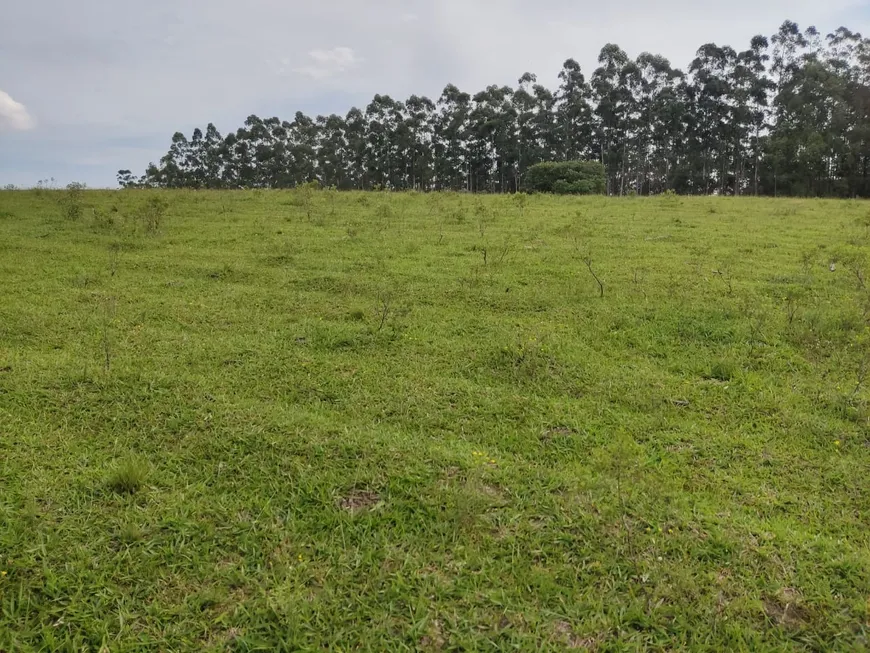 Foto 1 de Fazenda/Sítio com 3 Quartos à venda, 95m² em Zona Rural, São Miguel Arcanjo