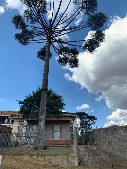 Foto 1 de Lote/Terreno à venda, 477m² em Portão, Curitiba