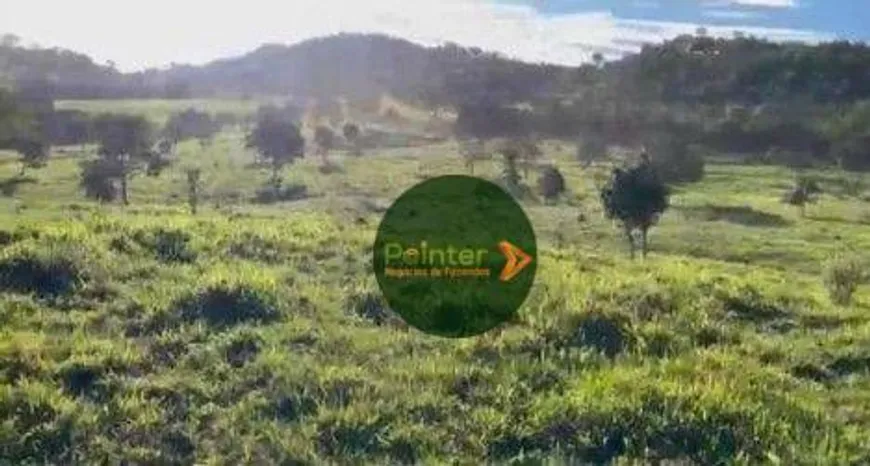 Foto 1 de Fazenda/Sítio à venda, 629200m² em Zona Rural, Rubiataba