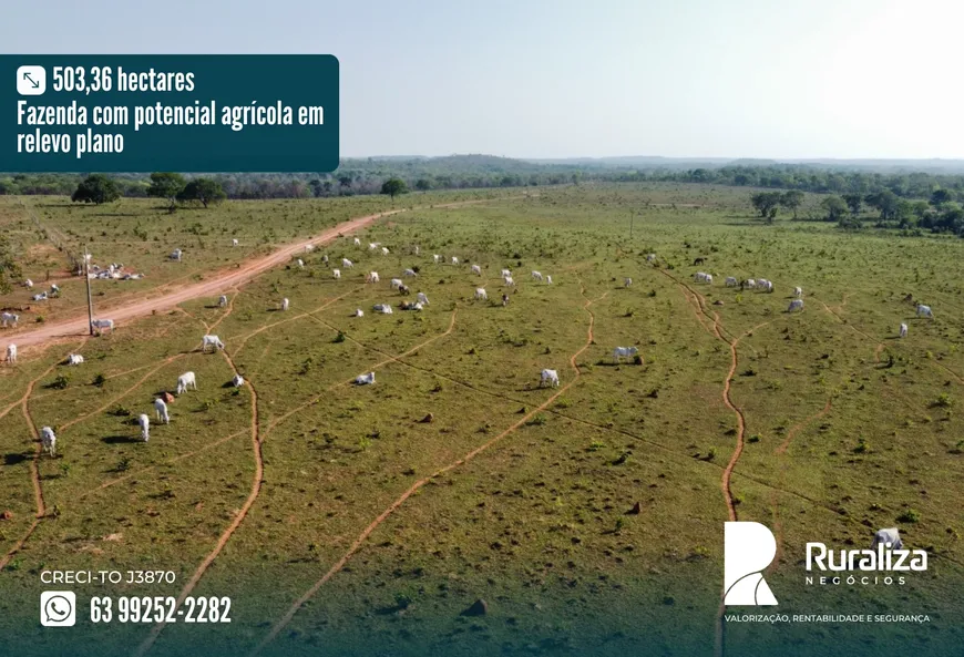 Foto 1 de Fazenda/Sítio à venda, 503m² em Zona Rural, Pedro Afonso