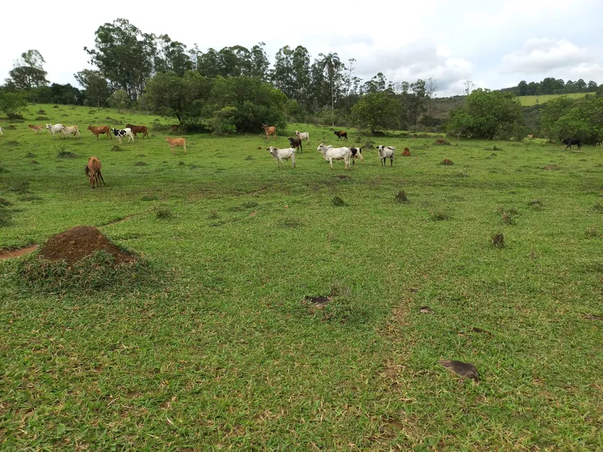 Foto 1 de Fazenda/Sítio à venda, 280000m² em Zona Rural, Passa Tempo