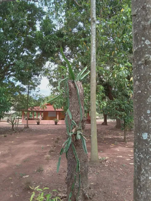 Foto 1 de Fazenda/Sítio com 3 Quartos à venda, 5100m² em , São Carlos