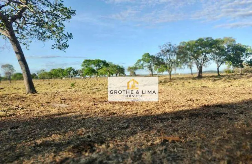 Foto 1 de Fazenda/Sítio com 10 Quartos à venda, 900m² em Plano Diretor Norte, Palmas