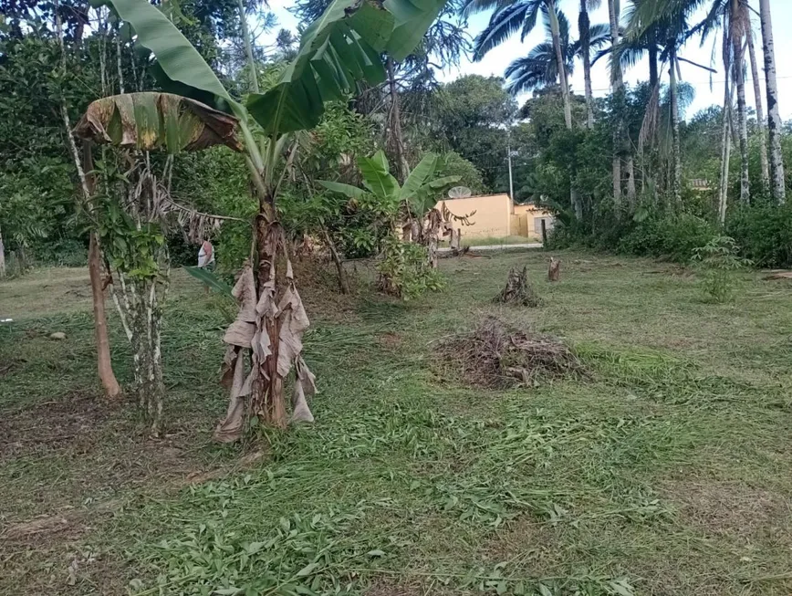 Foto 1 de Fazenda/Sítio com 2 Quartos à venda, 30000m² em Rio Preto, Itanhaém