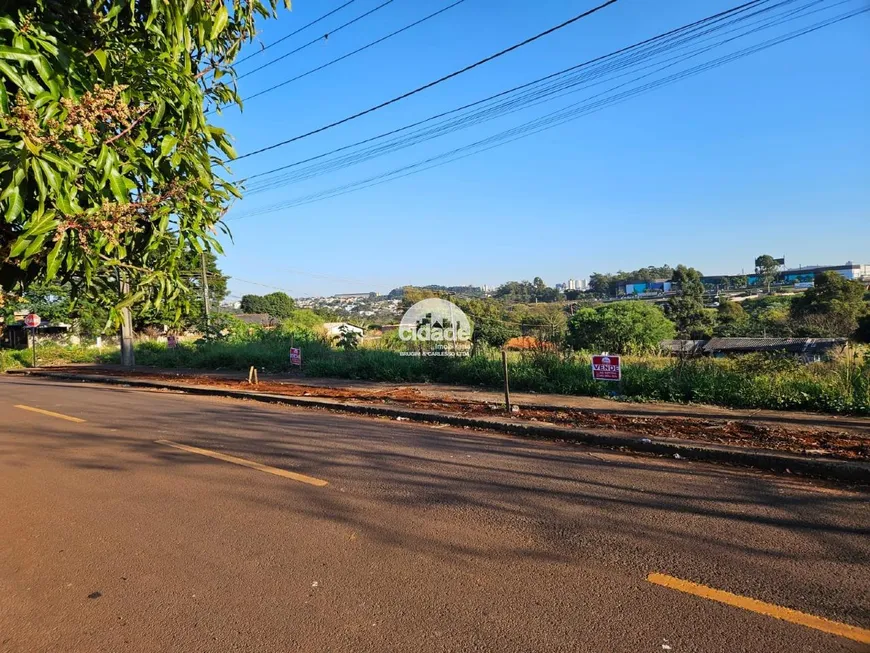 Foto 1 de Lote/Terreno à venda, 372m² em Cascavel Velho, Cascavel