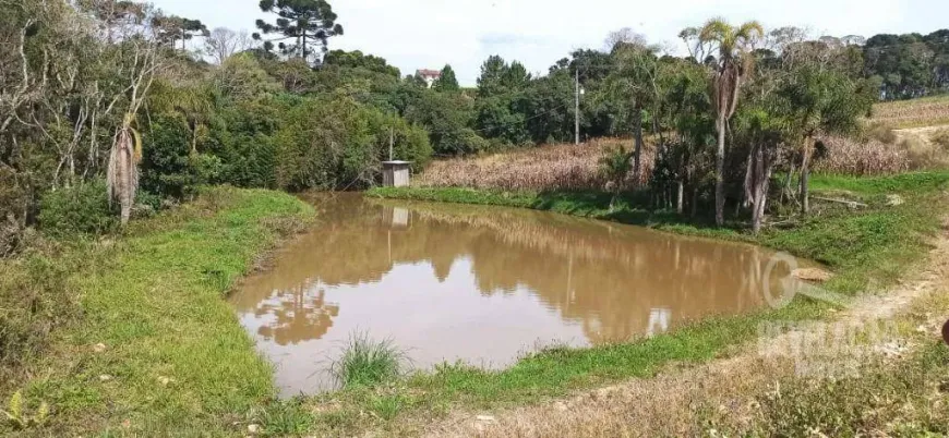 Foto 1 de Fazenda/Sítio com 1 Quarto à venda, 40000m² em Colônia Malhada, São José dos Pinhais