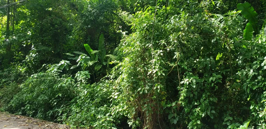 Foto 1 de Lote/Terreno à venda, 1000m² em Alto da Boa Vista, Rio de Janeiro