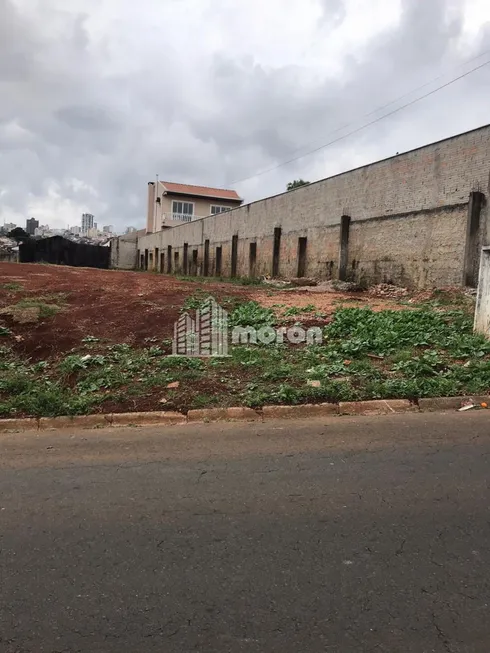 Foto 1 de Lote/Terreno à venda, 588m² em Estrela, Ponta Grossa