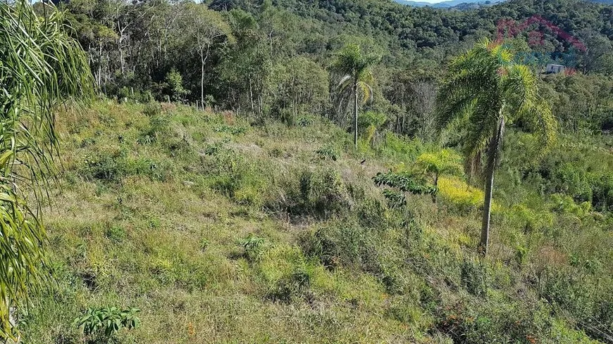 Foto 1 de Lote/Terreno à venda, 222m² em Felpudo, Campo Largo