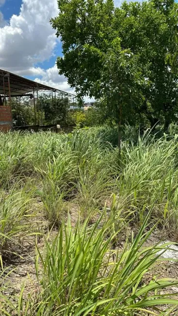 Foto 1 de Lote/Terreno à venda, 200m² em Parque Residencial Tropical Ville , Cuiabá