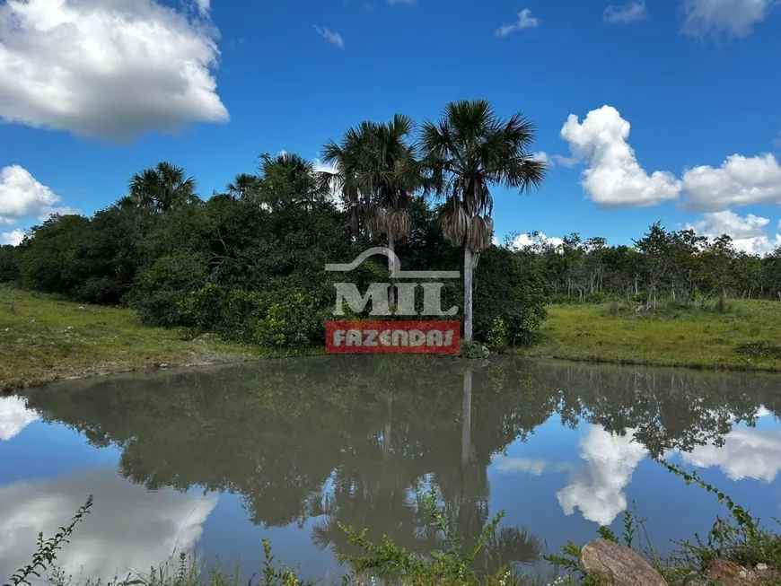 Foto 1 de Fazenda/Sítio com 2 Quartos à venda, 469m² em Zona Rural, Figueirópolis