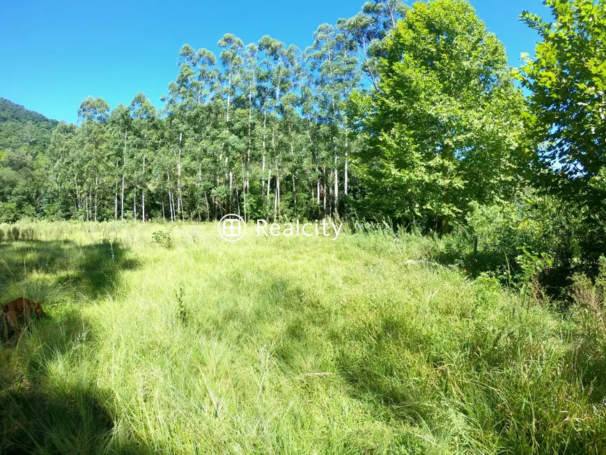 Foto 1 de Lote/Terreno à venda, 70000m² em , Santa Tereza