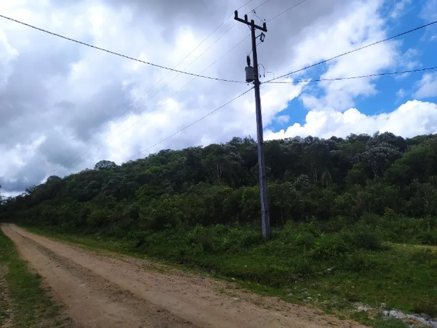 Foto 1 de Fazenda/Sítio com 1 Quarto à venda, 636460m² em Zona Rural, São José dos Pinhais