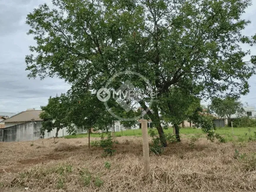 Foto 1 de Lote/Terreno à venda, 300m² em Granada, Uberlândia