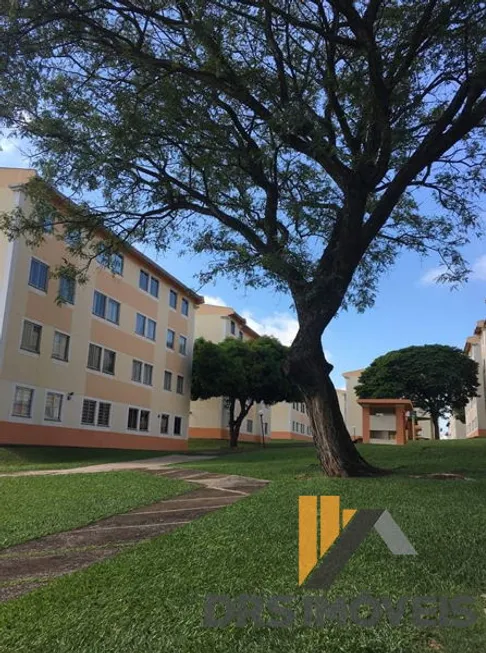 Foto 1 de Apartamento com 3 Quartos à venda, 58m² em Jardim das Americas, Londrina