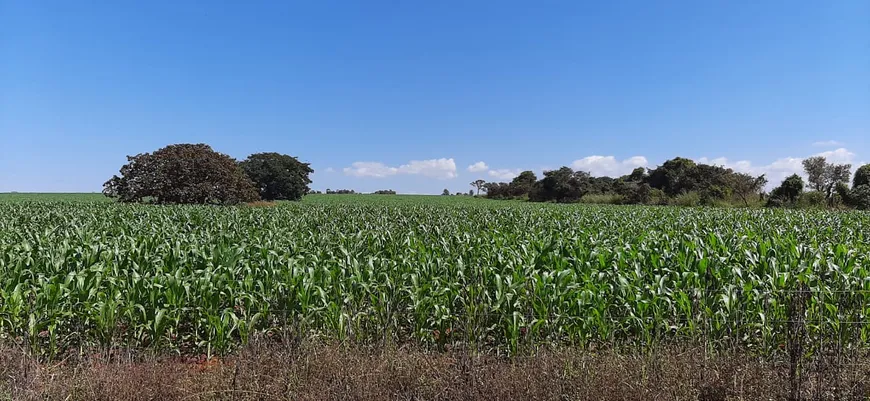 Foto 1 de Fazenda/Sítio à venda em Area Rural do Paranoa, Brasília