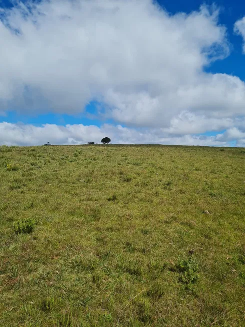 Foto 1 de Lote/Terreno à venda, 20000m² em Zona Rural, Urubici