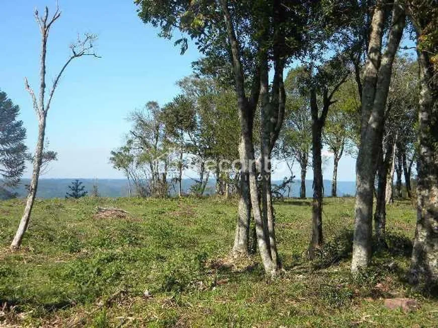 Foto 1 de Fazenda/Sítio à venda, 370000m² em , Três Coroas