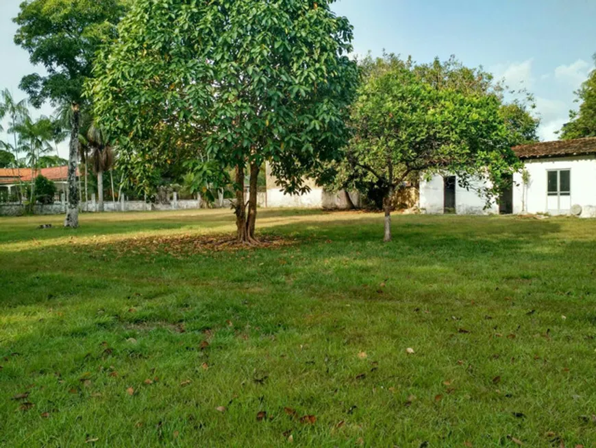 Foto 1 de Fazenda/Sítio com 1 Quarto à venda, 8000m² em Chapeu Virado Mosqueiro, Belém